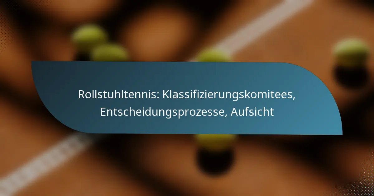 Rollstuhltennis: Klassifizierungskomitees, Entscheidungsprozesse, Aufsicht